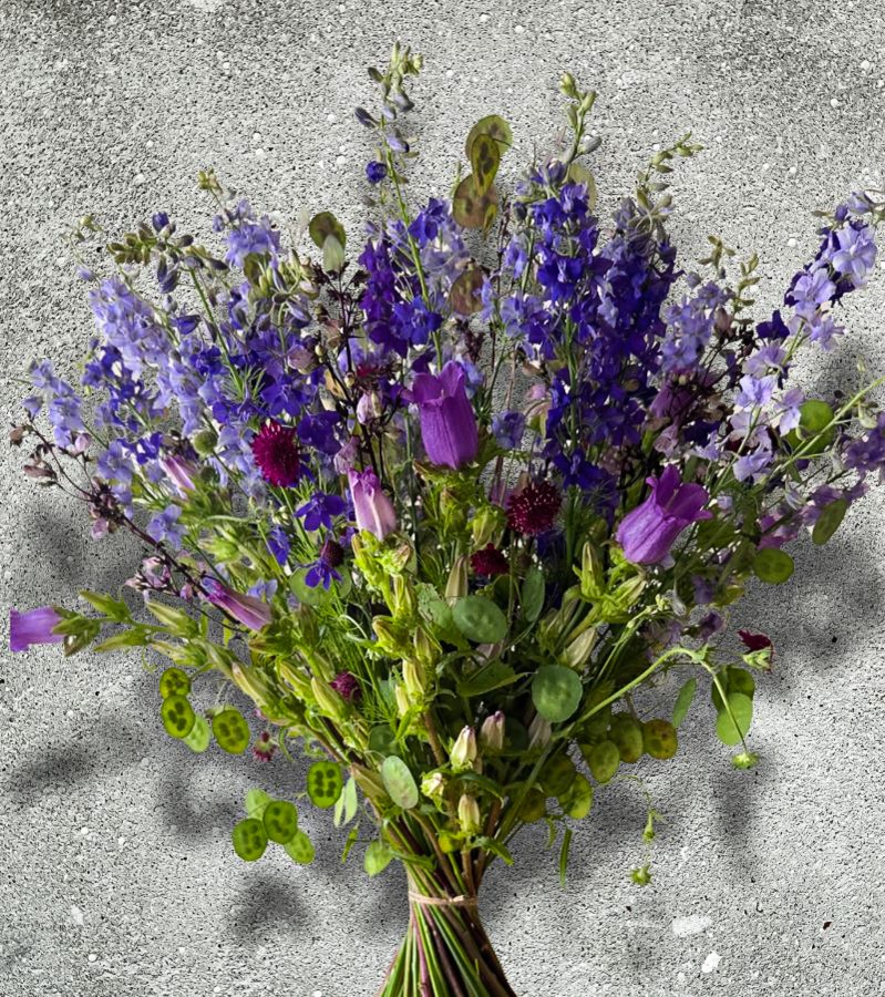 BildBlumengalerie-Shop-Blumen-Sommergruss-Schweizer-Blumenstrauss-Halblocker-Gemischt.jpg4