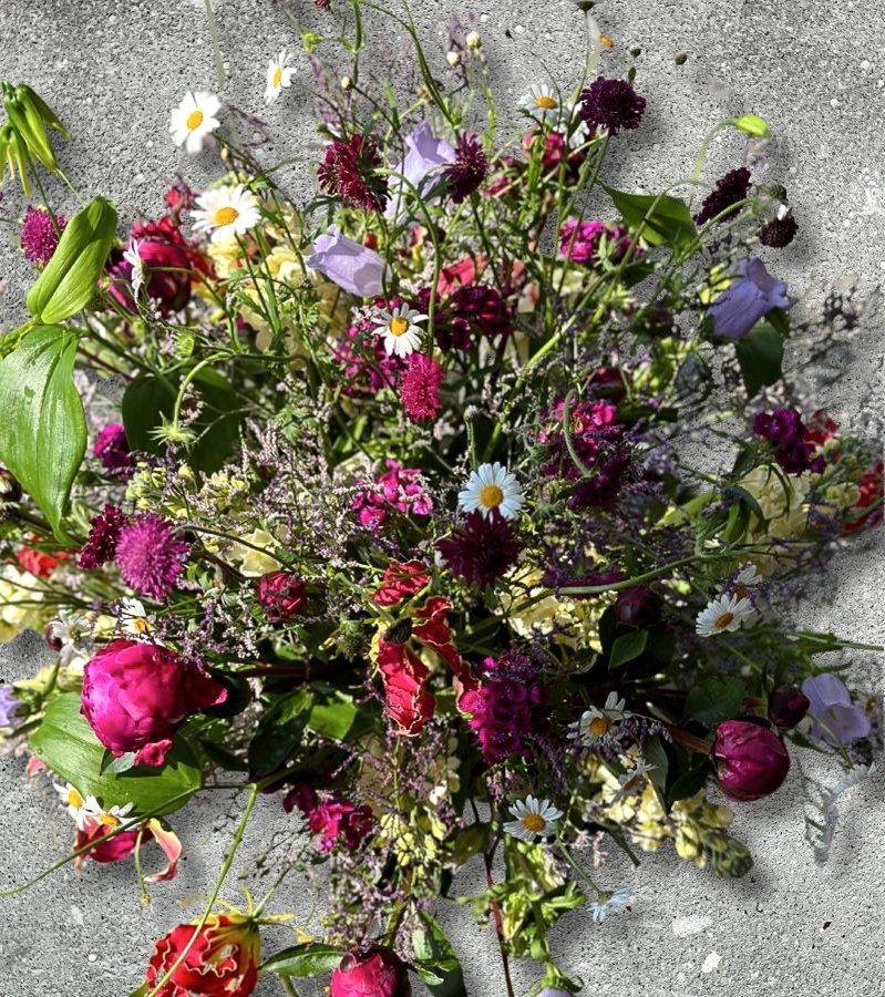 Blumengalerie-Shop-Blumen-Sommergruss-Blumenstrauss-Halblocker-Nahaufnahme-Gemischt.jpg